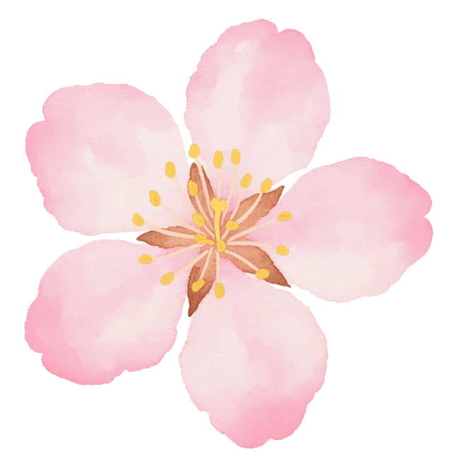 微信图片_2026-03-23_172902_973 微信图片_2026-03-23_172902_973